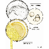 Sérum Anti Manchas con Vitamina C + 30ml